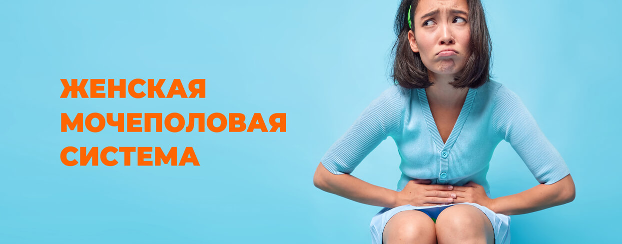 Женская мочеполовая система