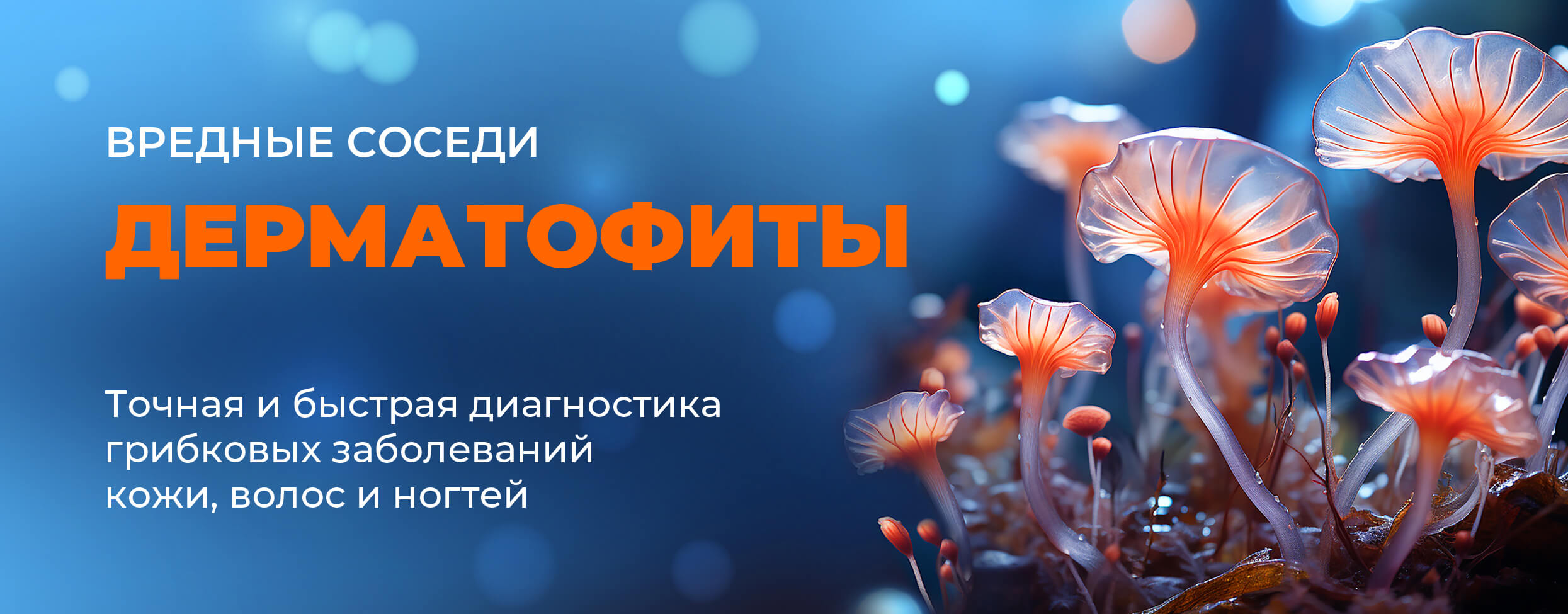 Вредные соседи дерматофиты. Точная и быстрая диагностика грибковых заболеваний кожи, волос и ногтей