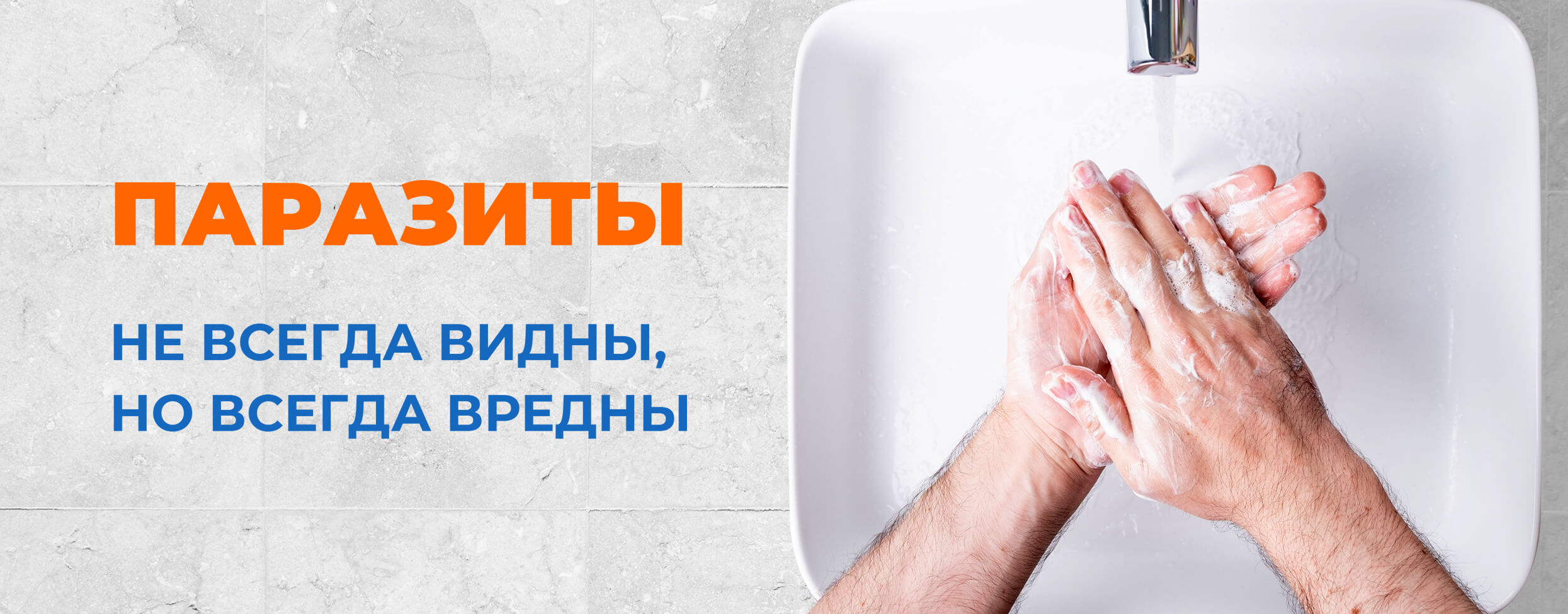 Паразиты. Не всегда видны, но всегда вредны